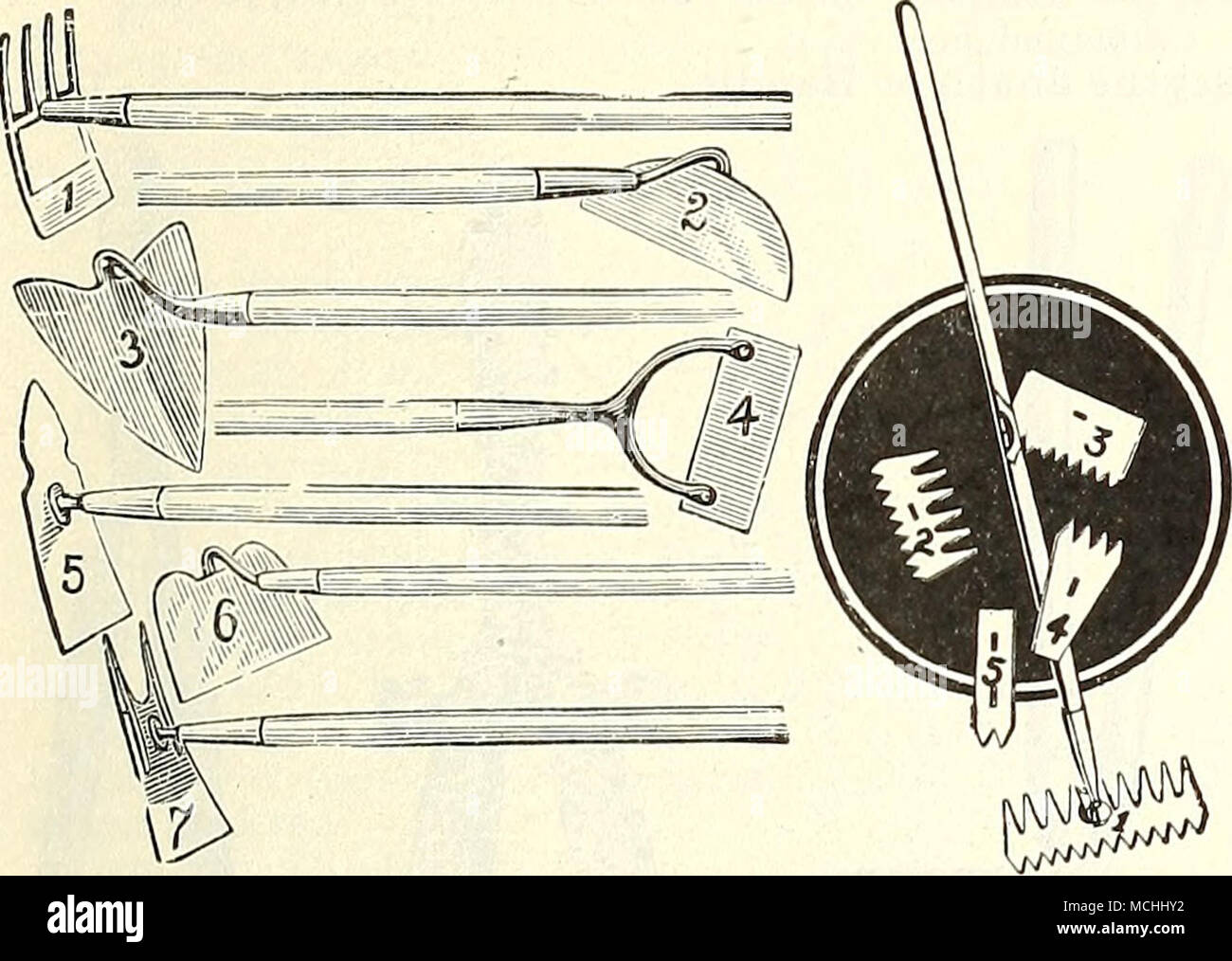 Blade 7 1 4 hi-res stock photography and images - Alamy