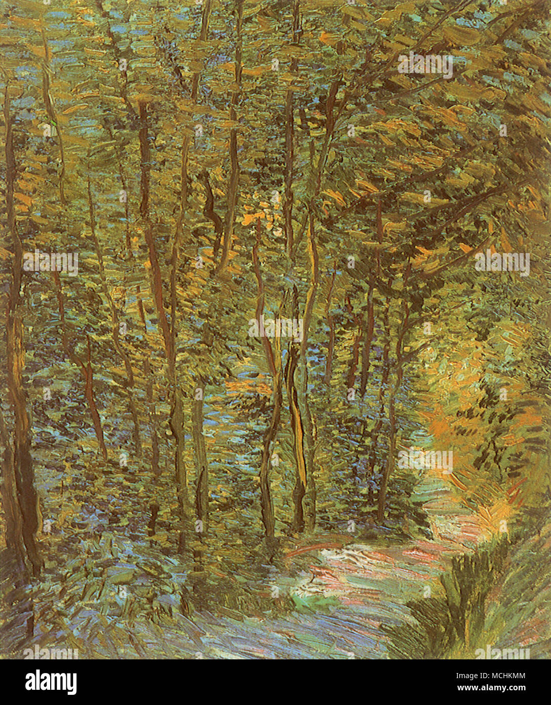 Vincent van gogh trees undergrowth hires stock photography and images