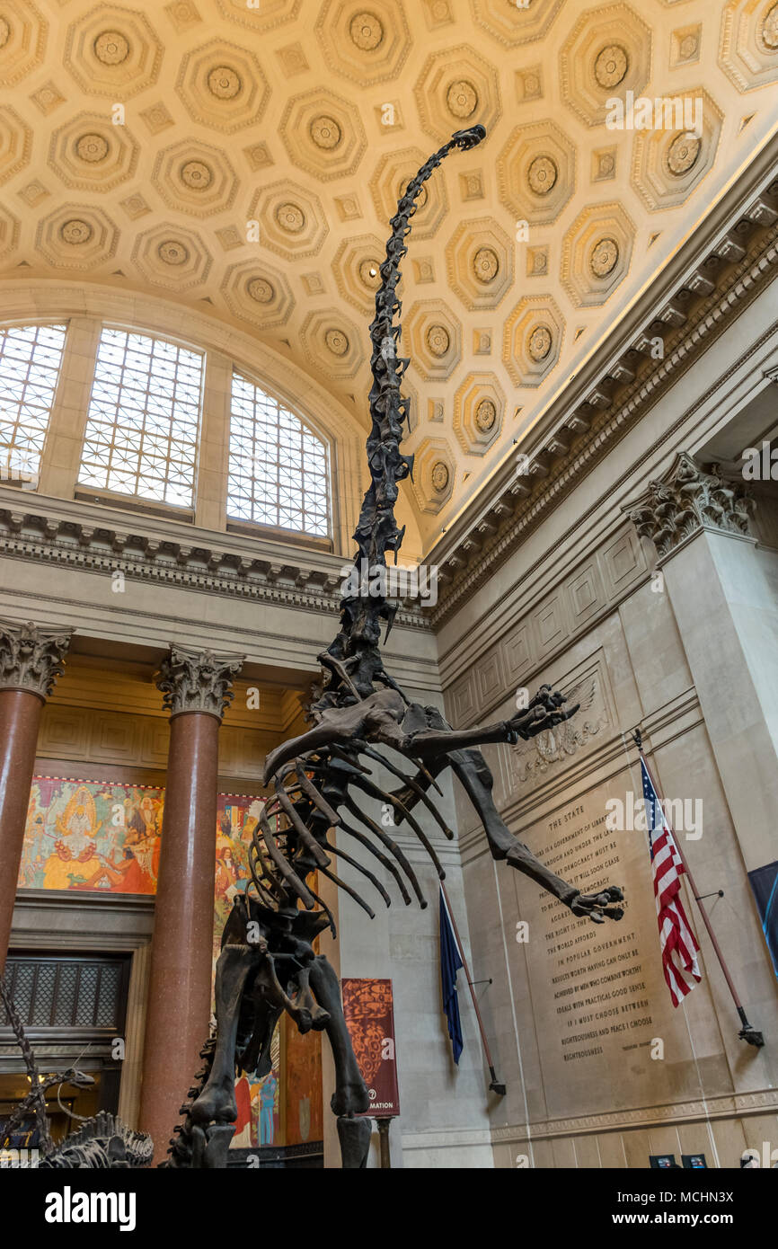 Dinosaur fossils site hires stock photography and images Alamy