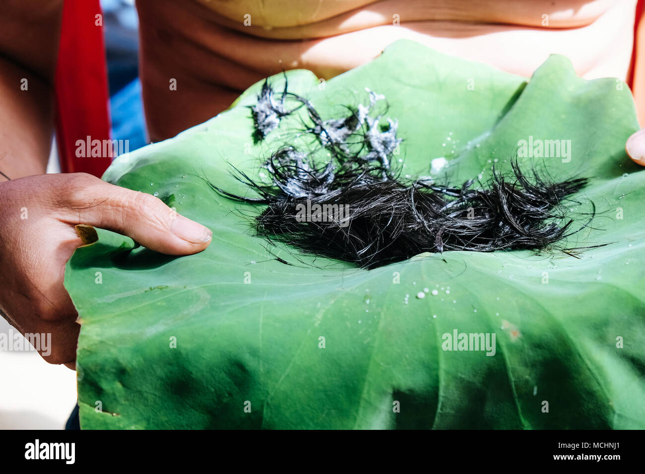 shaving the hair, Ordination Ceremony of Buddhist monk Stock Photo - Alamy