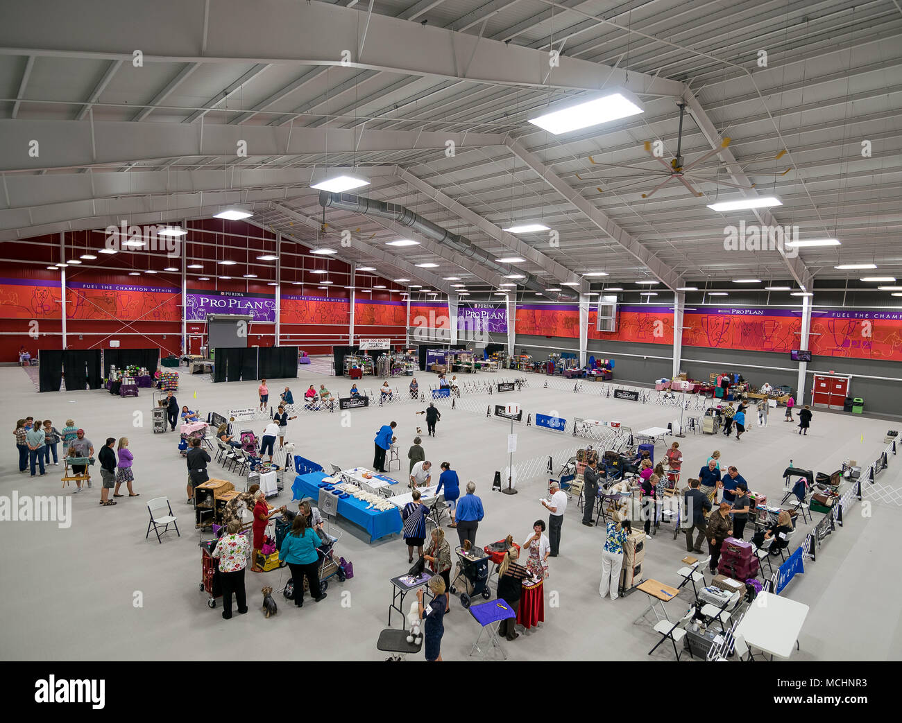 Purina Event Center Dog Show Stock Photo Alamy