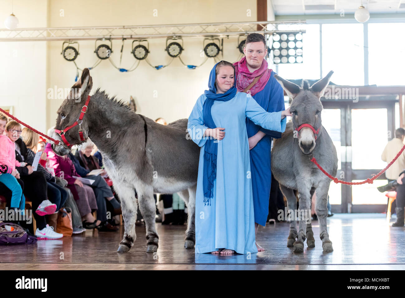 Nativity donkeys hires stock photography and images Alamy