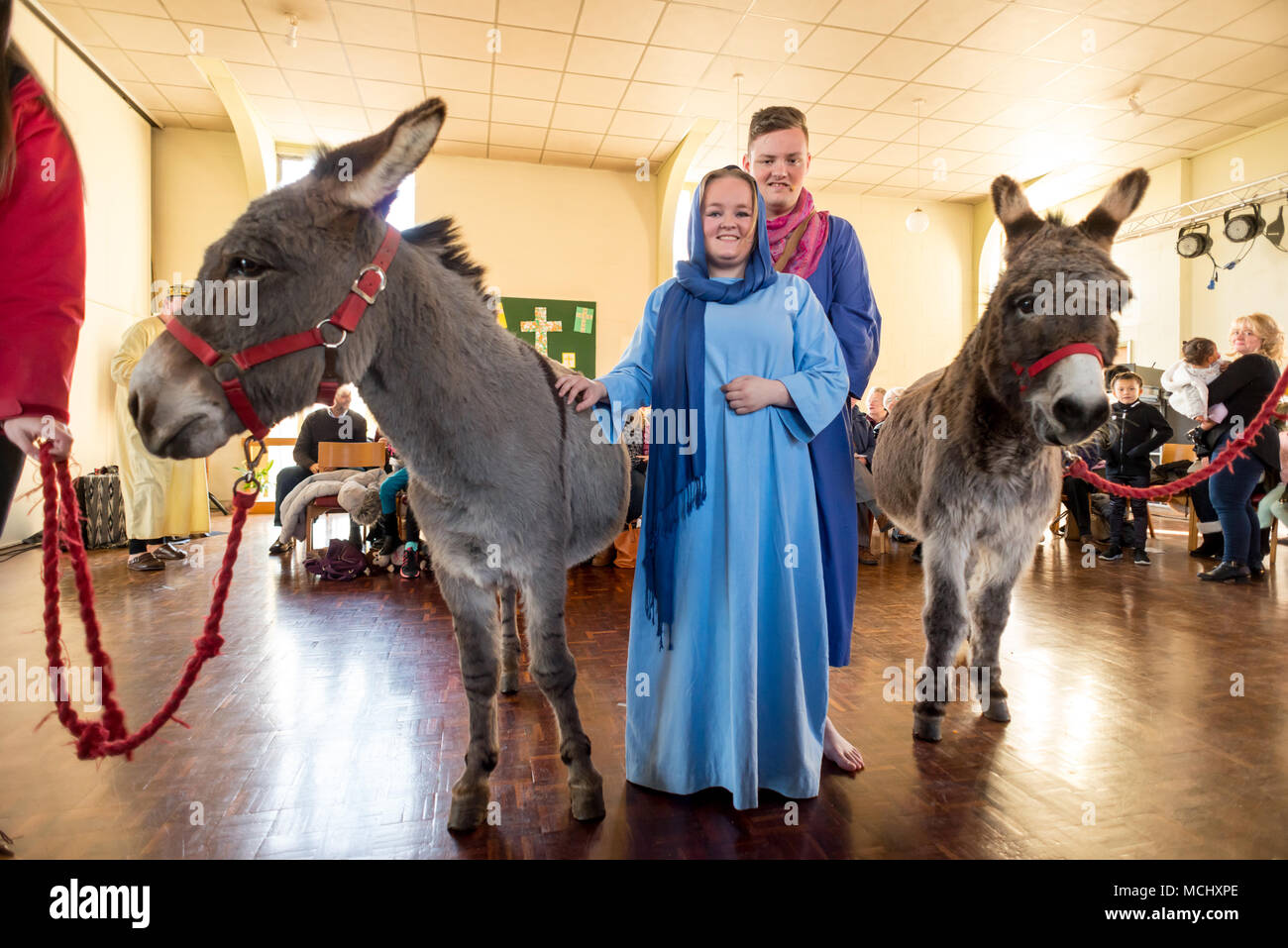 Nativity donkeys hires stock photography and images Alamy