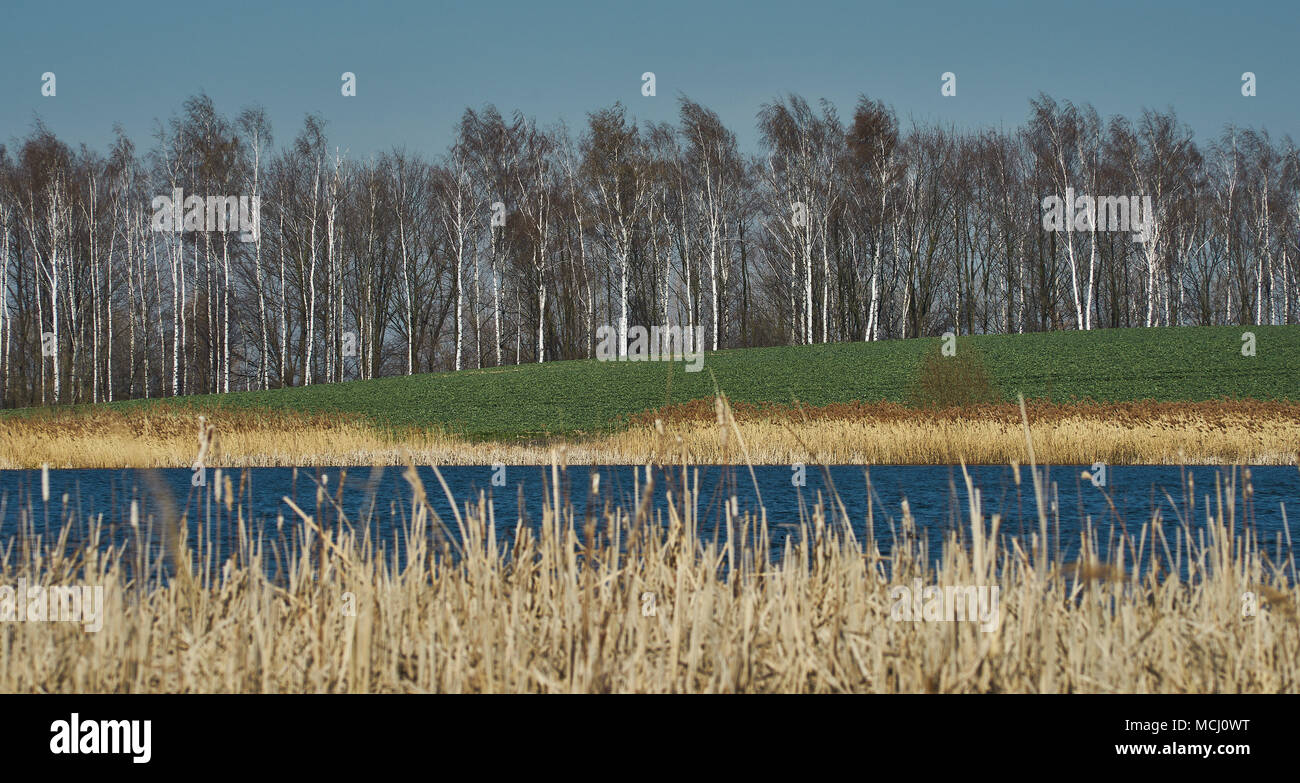 Mietkowski lagoon in the early spring lake shore in early spring Lower Silesia poland Stock Photo