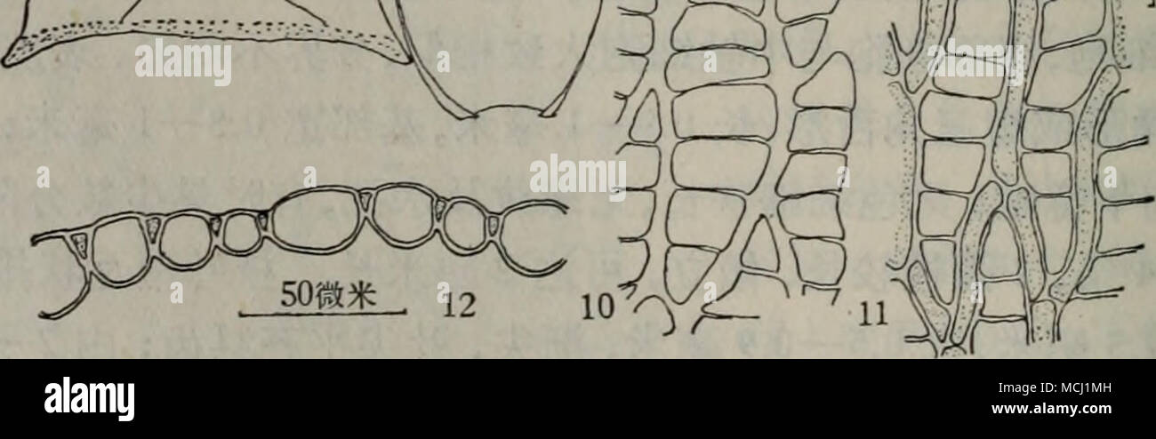 E 31 Ea High Resolution Stock Photography And Images Alamy