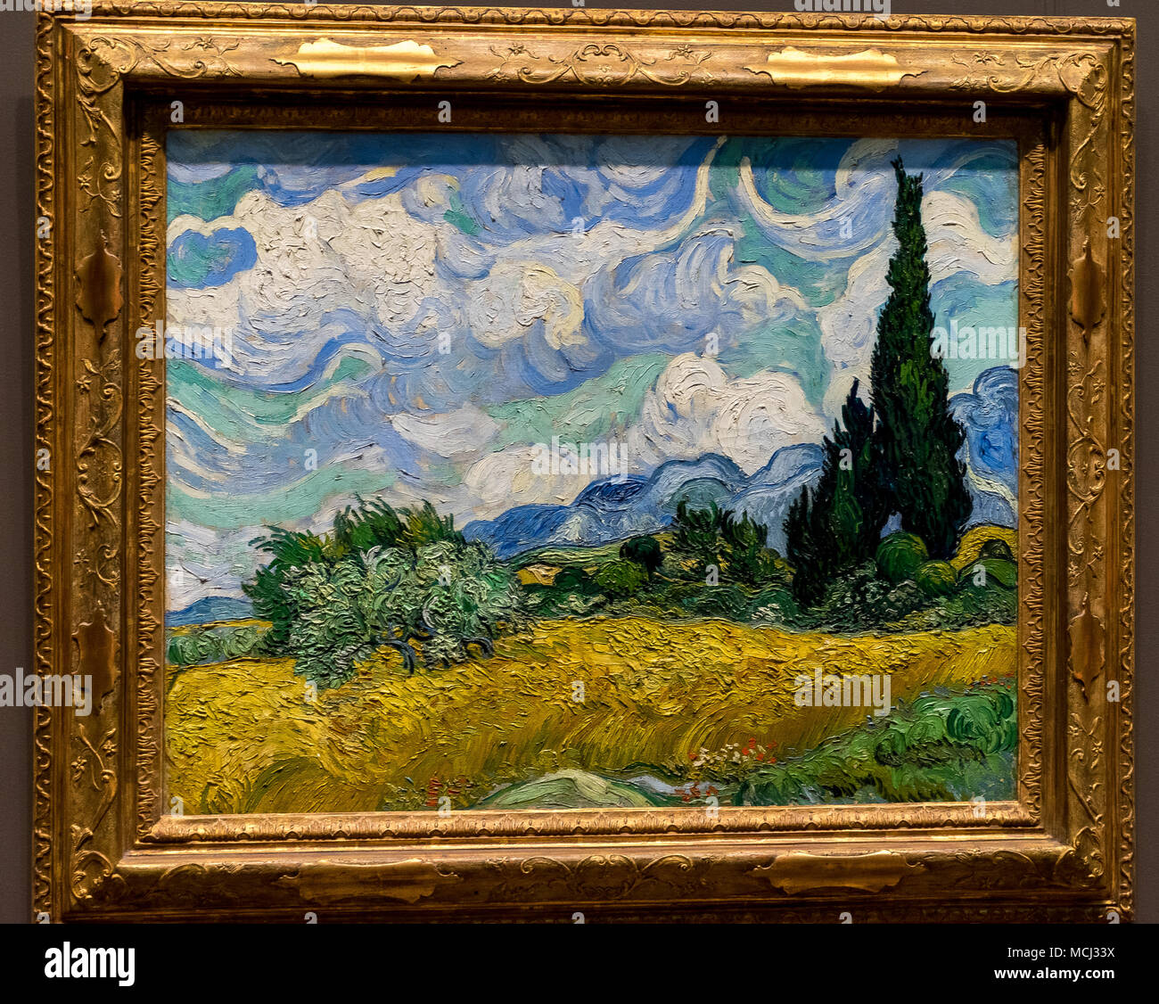 Van gogh irises hires stock photography and images Alamy