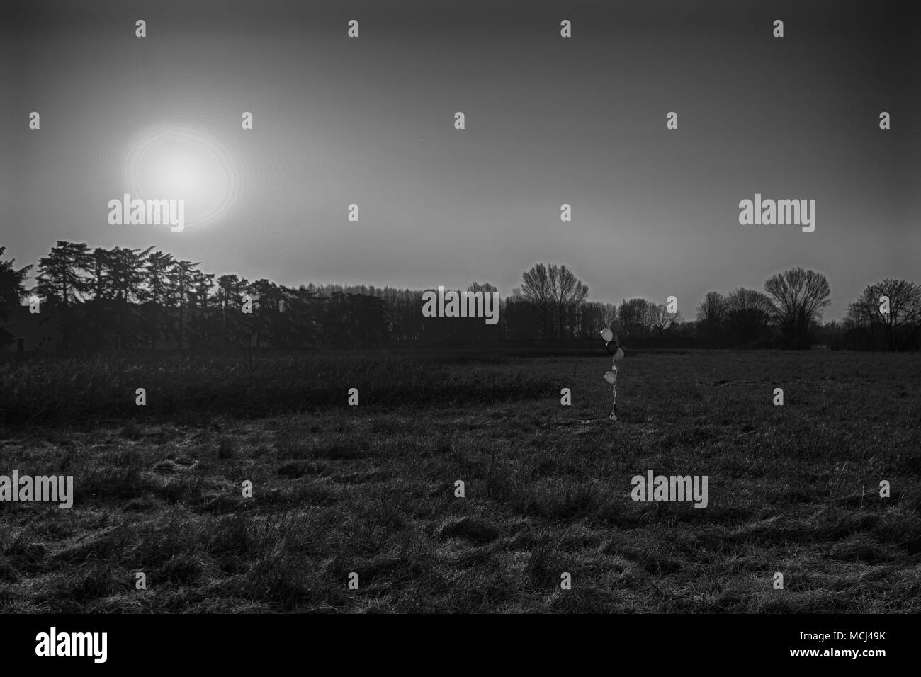 colorful balloon in the autumn field. Funny mood, prepare for celebrating, holiday event or party. Stock Photo