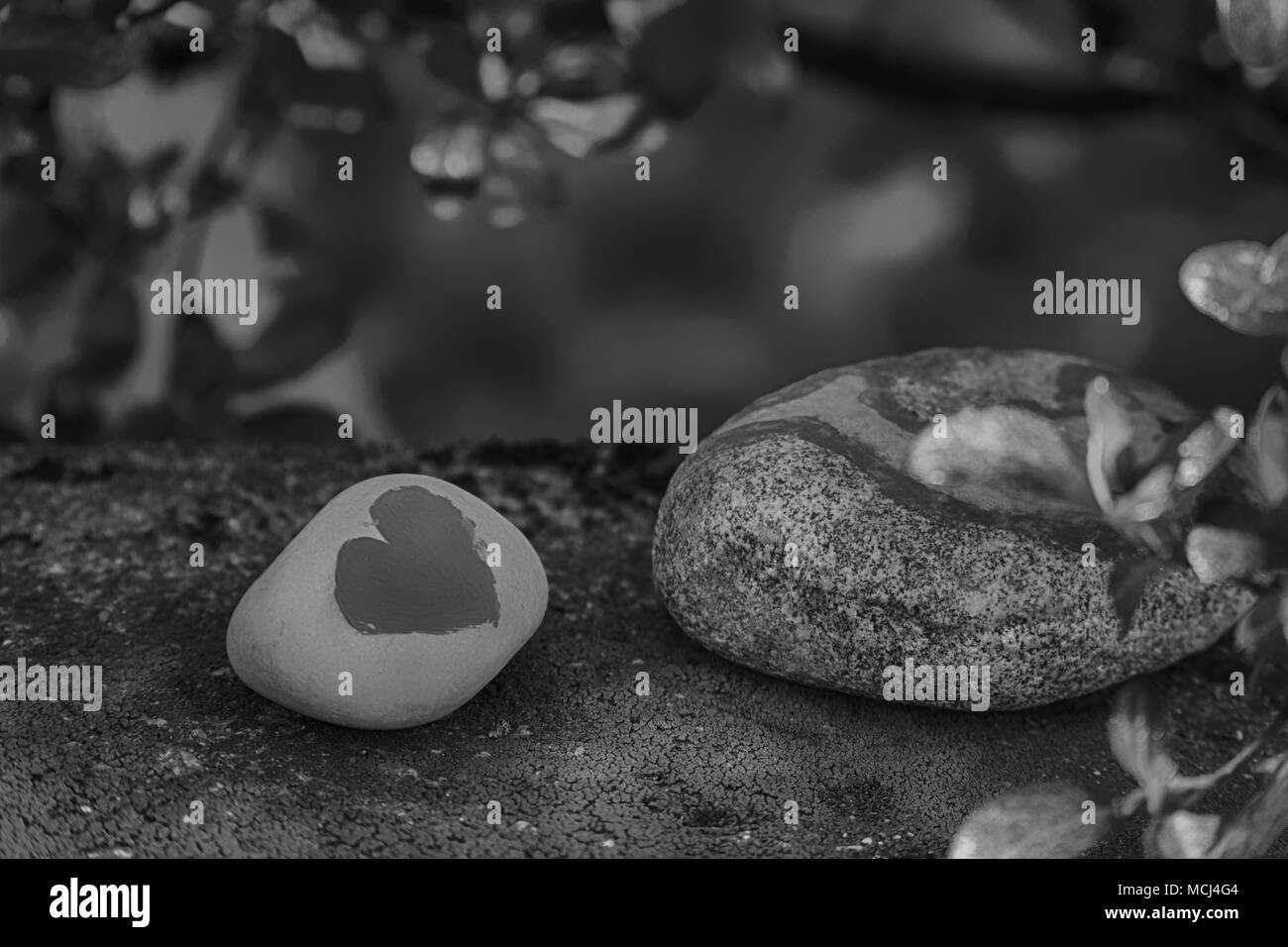 Celebration concept saint valentines Black and White Stock Photos Celebration concept saint valentines Black and White Stock Photos