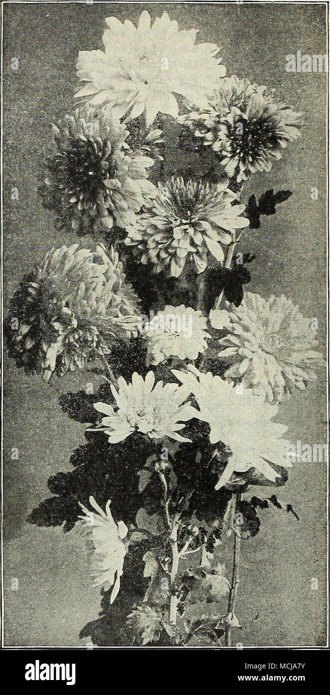 Over 3 feet thick hi-res stock photography and images - Alamy