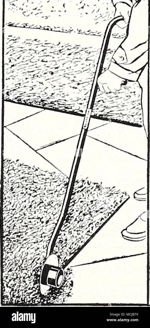 Trim lawn edges hires stock photography and images Alamy