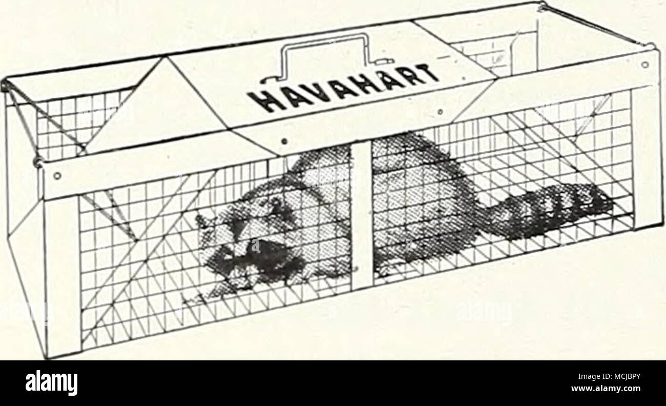Havahart Animal Traps. Humane, simple, effective all-metal traps