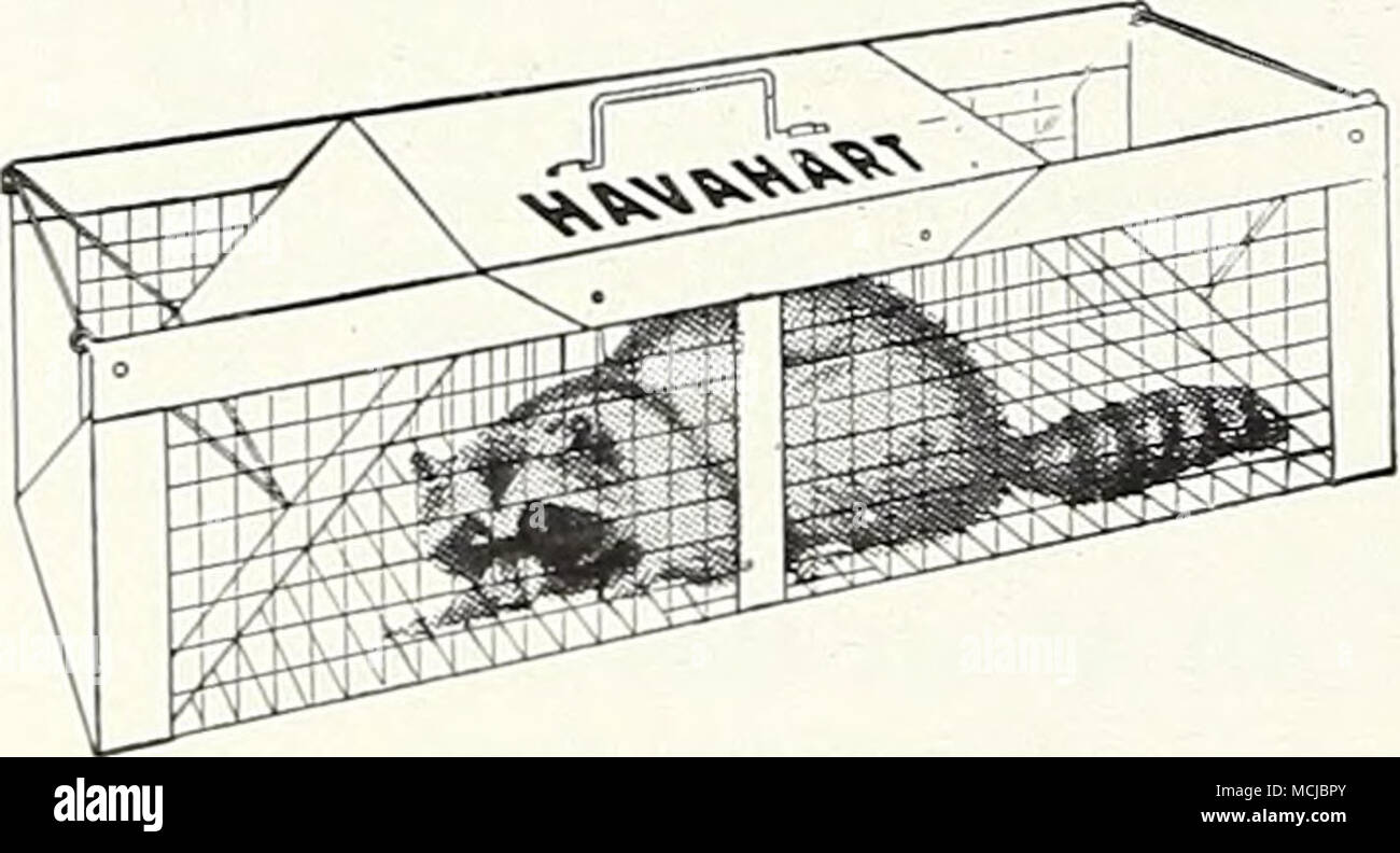 Havahart Animal Traps. Humane, simple, effective all-metal traps; harm-  less to animals and humans. Easy to bait and easy to set. No. 2. For  Squirrels, Rats. Rabbits, Chipmunks, etc. 7 x