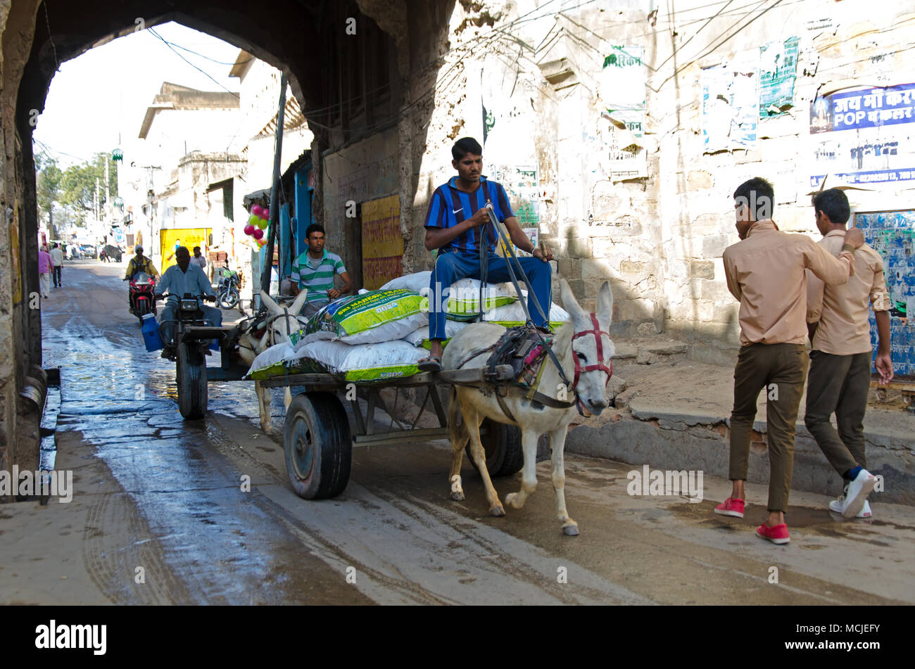 Mandawa, India - February 24, 2018: Street view with people on the street and a donkey carrying a loads. Stock Photo