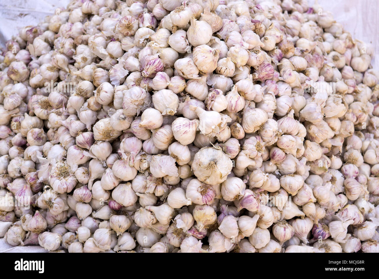 Heaps of Indian garlic sold at Mandawa town in Rajasthan state of India Stock Photo