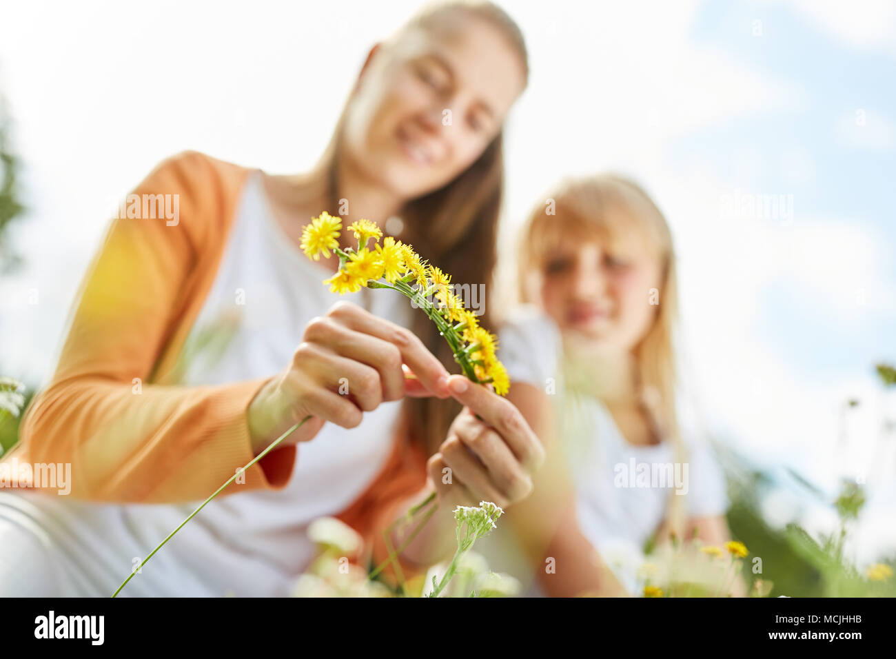 Woman binds a flower wreath in spring from dandelion flowers Stock Photo