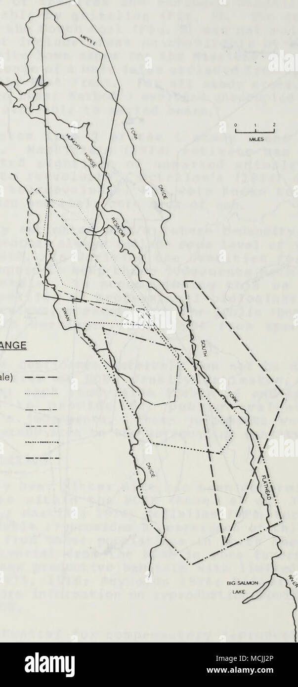 South Fork Flathead River Map Figure 9. Composite Home Range Map From The South Fork Of The Flathead River  (Mace And Jonkel 19 79). 52 Stock Photo - Alamy
