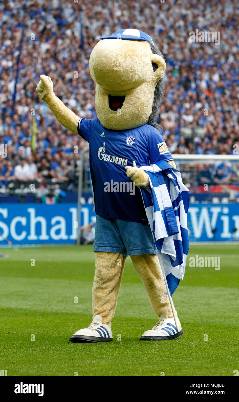 sports, football, Bundesliga, 2017/2018, FC Schalke 04 vs BVB Borussia  Dortmund 2:0, Veltins Arena Gelsenkirchen, Schalke mascot Erwin Stock Photo  - Alamy