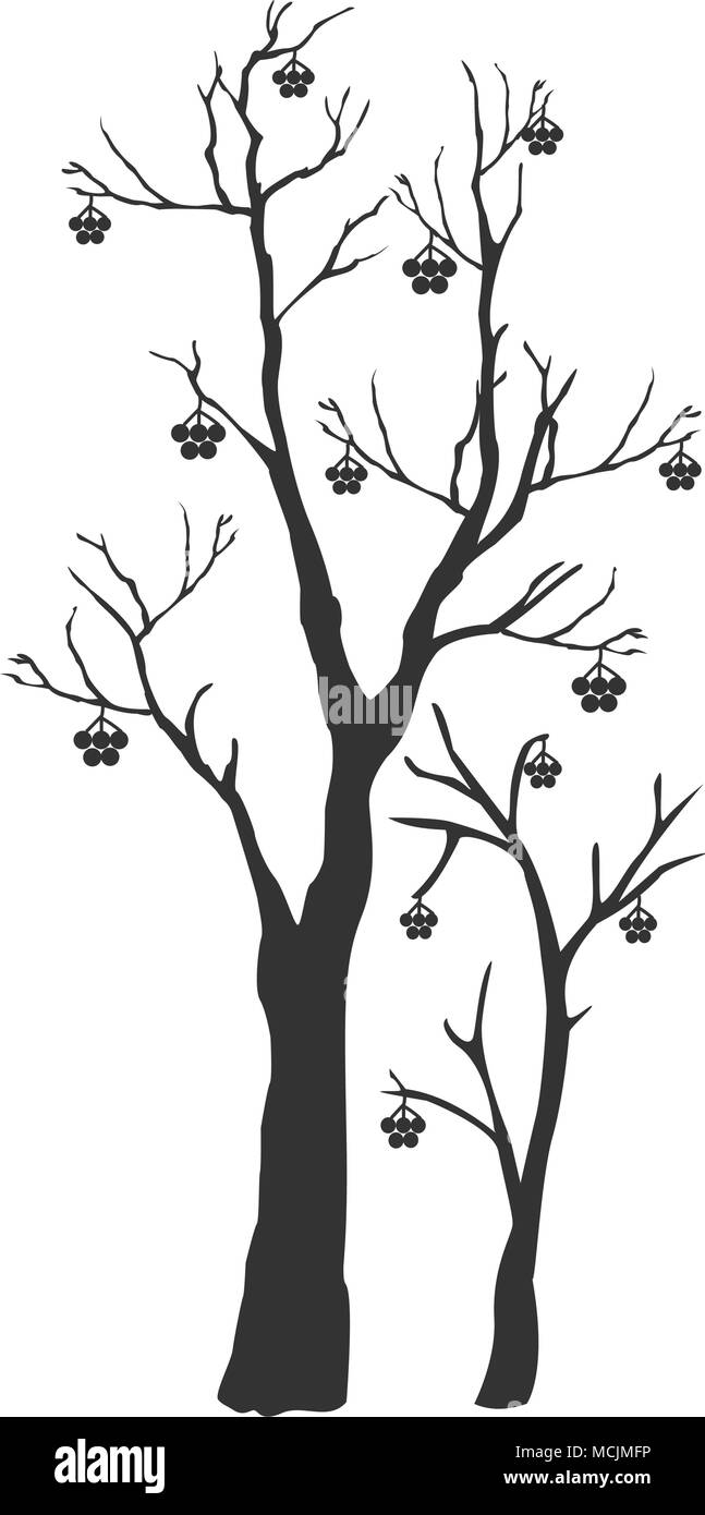 Silhouette of a rowan tree with berries. Rowan Icon Vector Illustration Stock Vector