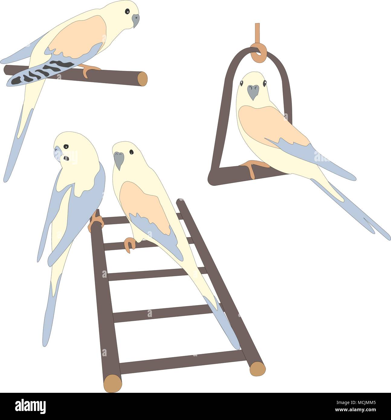 Set of three cute parrot birds sitting on branch and ladder. Bird Set