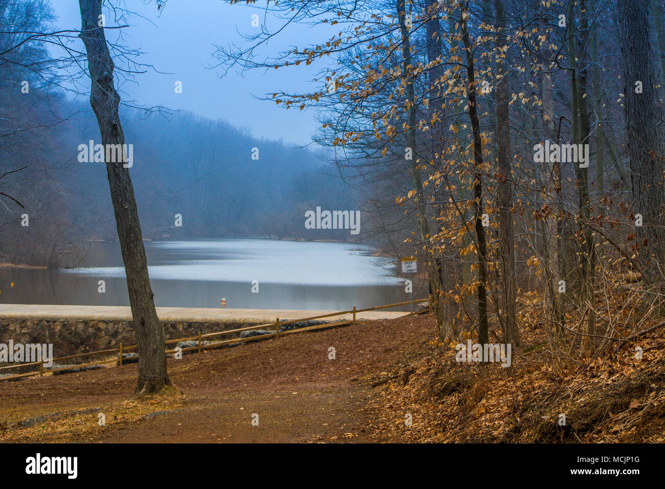 lake in the forest during autumn Stock Photo - Alamy