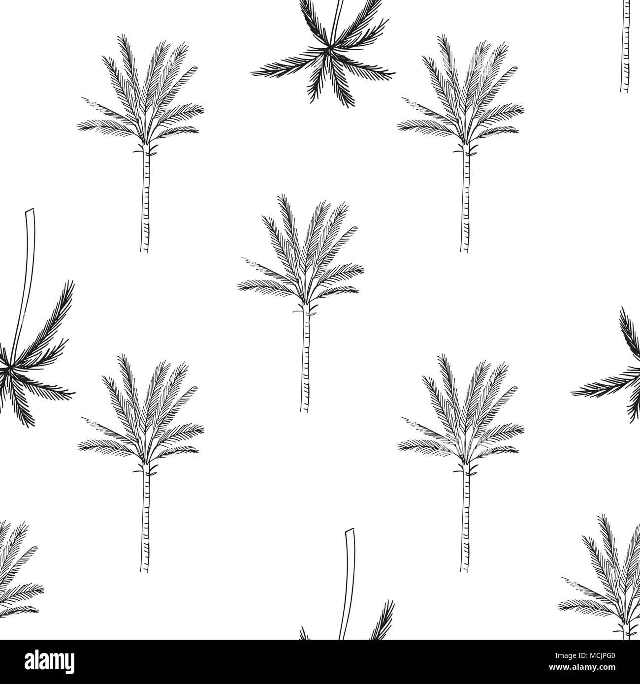 Hand-drawn seamless pattern with palm trees, isolated on white ...