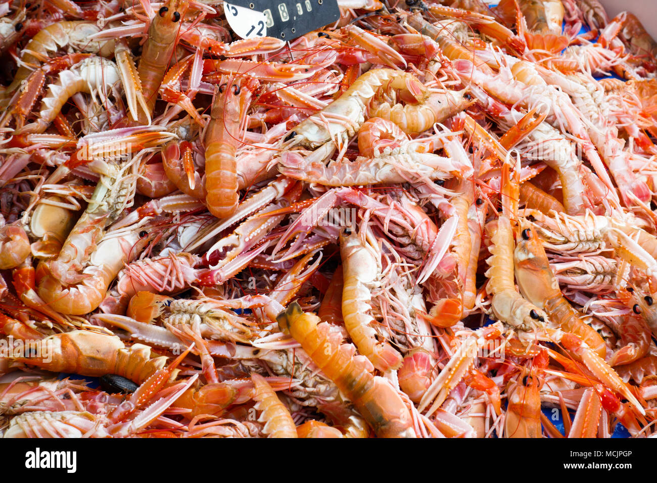 Fresh Cancer Irroratus crabs for sale at fish market Stock Photo