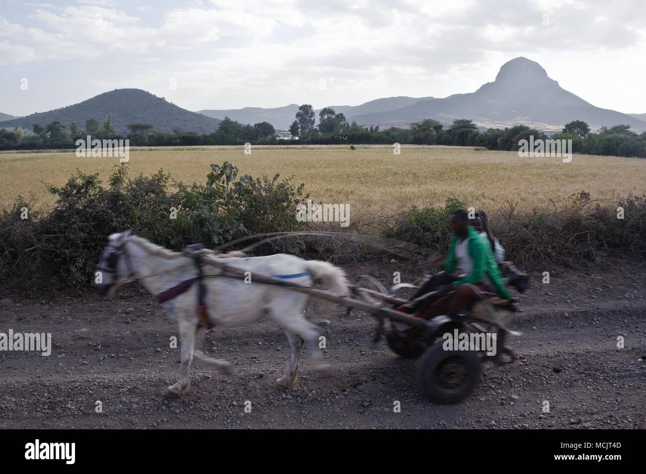 Horse-drawn cart ( Ethiopia) Stock Photo