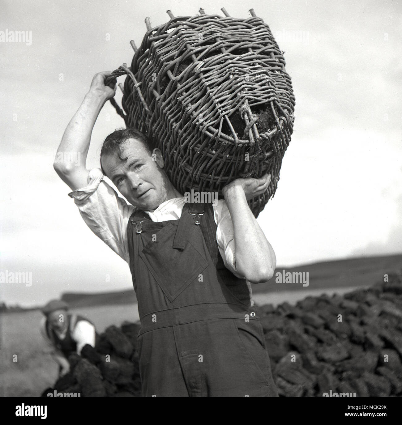 1950s, historical picture from rural Ireland of a local Irish man carrying  an open wicker basket of newly cut peat on his shoulder Stock Photo - Alamy