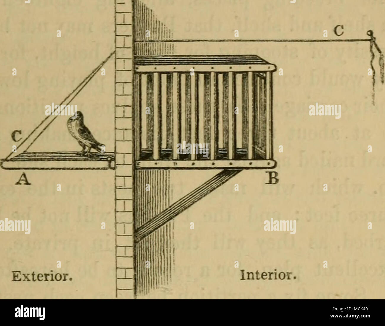. Exterior. Interior. Trap of Pigeon-loft. A, the door of the trap ...
