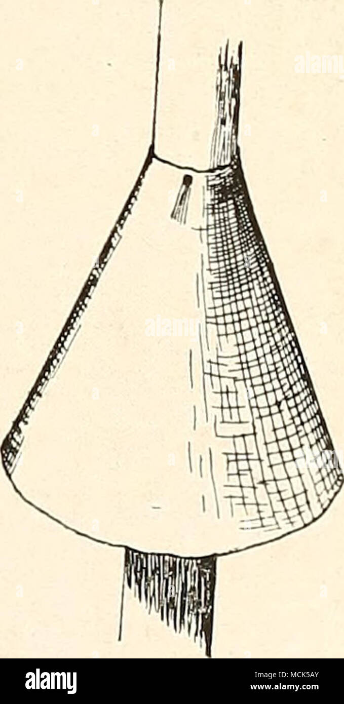 . Devices to protect Birds' Nests. Upper figures show catproof nesting