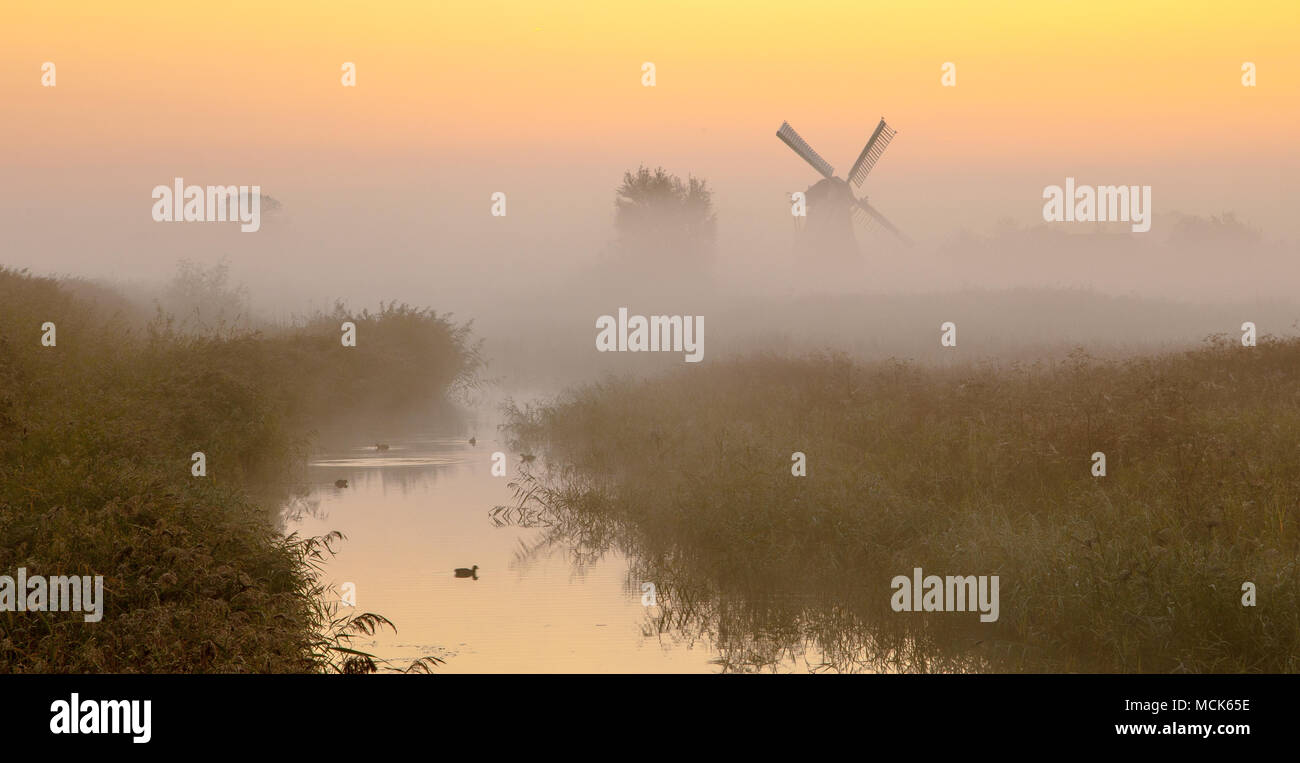 Traditional dutch Windmill in a wetland area on a foggy morning in september Stock Photo