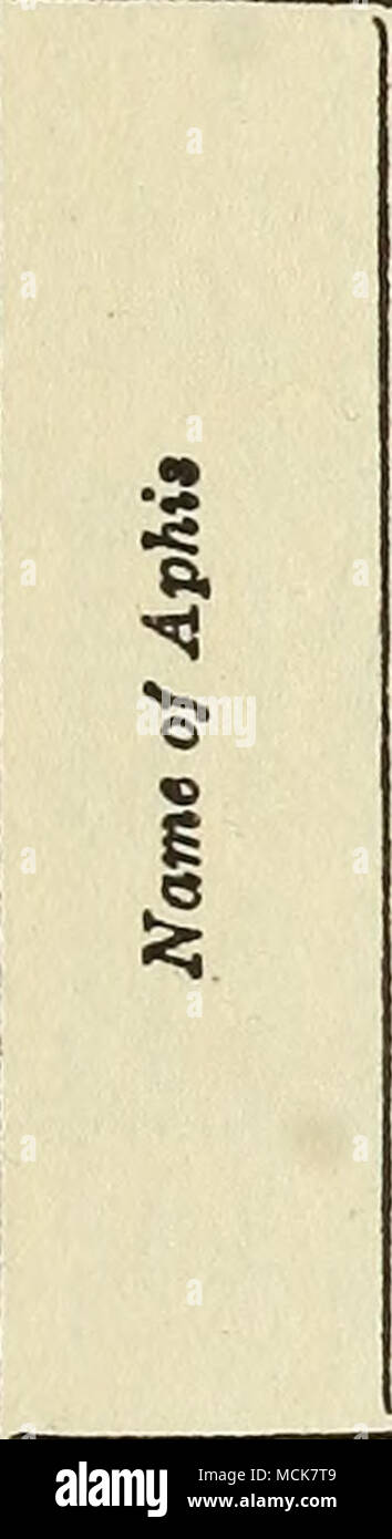 . D-d OH-- d M .'^'^ fl d g o ^ fl.ii . - - &quot; -J gt&gt;.^ ««aa§5«^'^a'='^ i^j3 ft ft,a ftftaJ &lt;uj3,£4^ ft^^ft ^ ^ |ao &quot;ft2 ilgilllill ft'^ S5-a'5o c3 cs 2 c'a llg&amp;'isagoo o as o ft.2.2.s.2 m .S-^ o.&amp;^S aftftftft ft'3 &quot;&quot;si So OS 03 a&amp; « 0.2'^ s « s a ^5 ft.^s-2i5 a« •I § I •^S.3|-S.2.2g| bo ft q-a o o Stock Photo