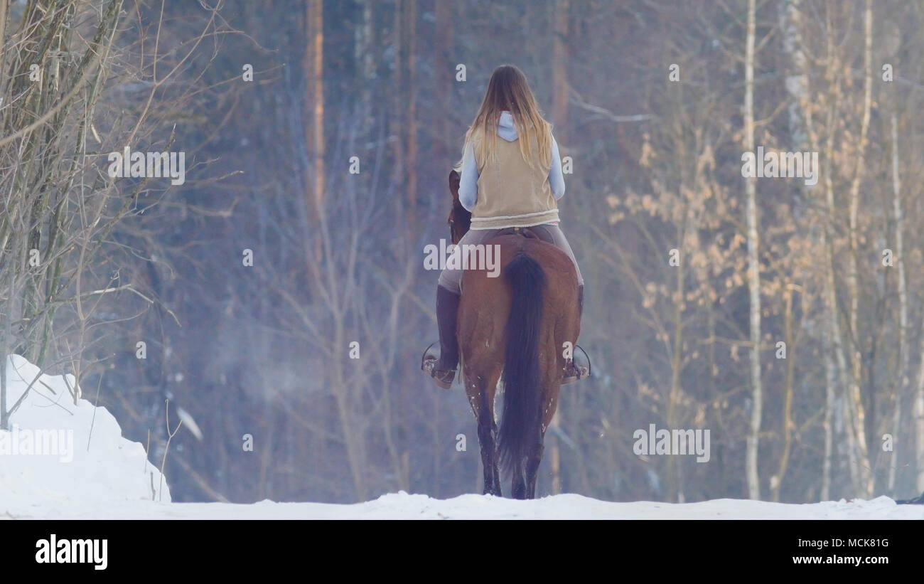 Female rider riding black horse through the snow, rear view Stock Photo ...
