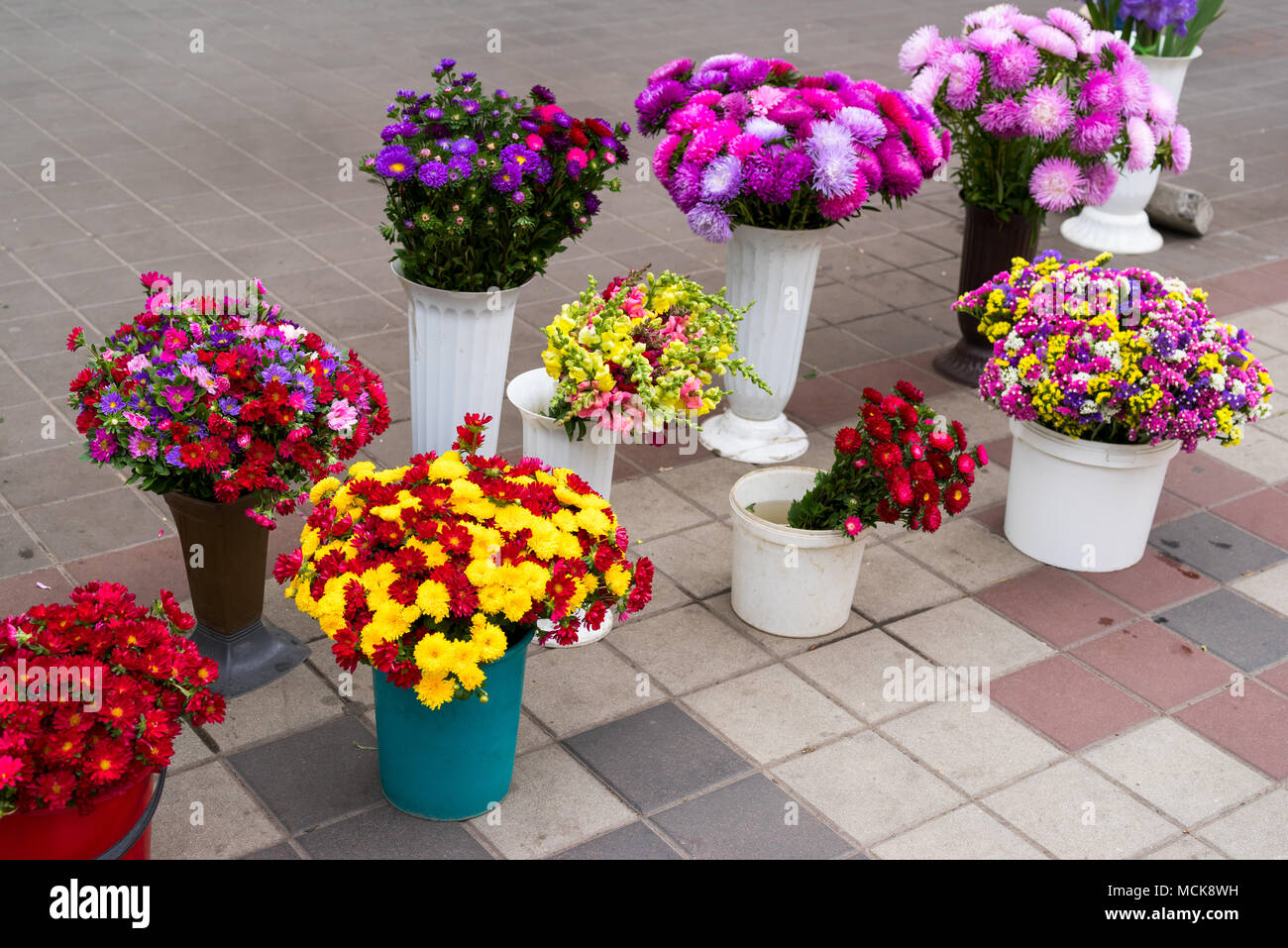 cut flowers and buckets for sale Stock Photo Alamy