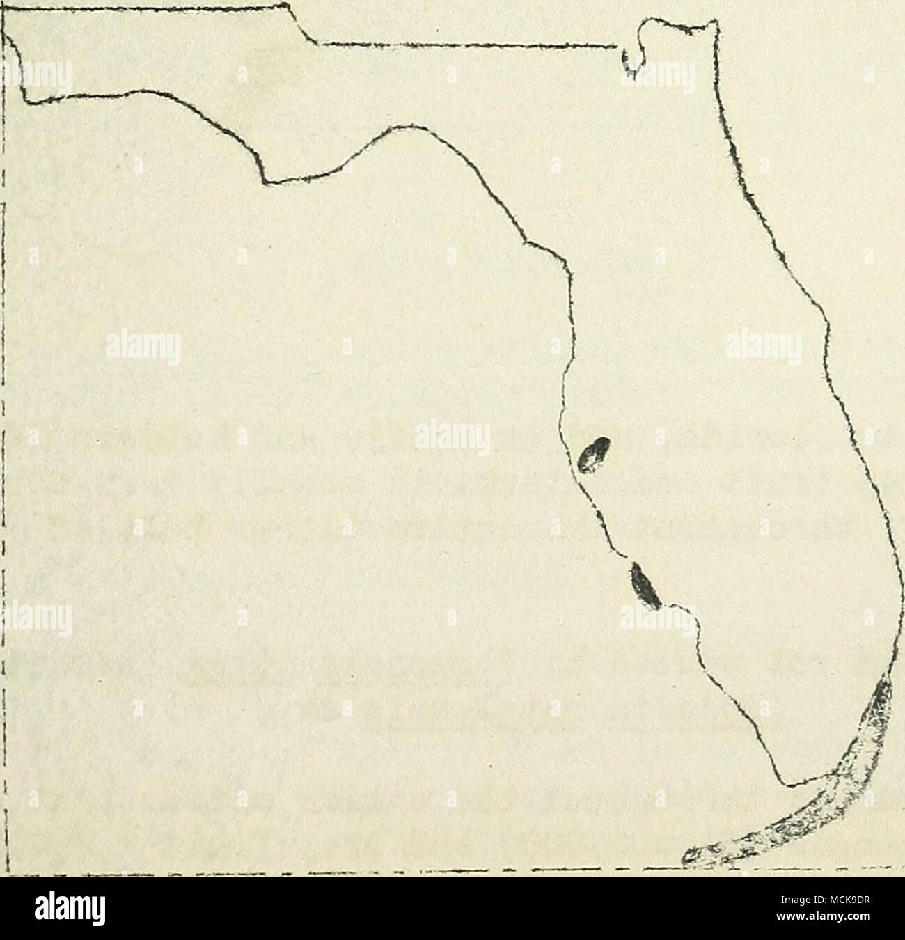 . Pig. 18. Vdthertip of limes in Florida. Shades areas indicate regions where the disease was most severe in 1920 according to J. R. Winston Withertip of limes caused by Gloeosporium limetticolum Clausen Stock Photo