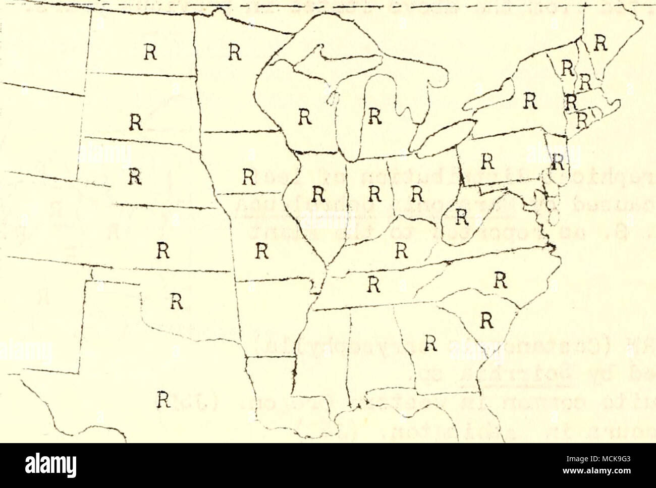 . Fig. 92- Geographical distritvitibh of'anthracnose 'of the elm in the U. as reported to tlit Plant Disease Siirvey. Nev/ York - found in state wherever elms are grown, earliest report in July, only certain trees are badly affected, the branches may intertwine v/ith other elm. trees that are wholly free from disease. Kilian, Charles. Le developpement du Dothdella ulmea(i&gt;uv.) V/inter. Rev Gen. lot. 32: 534-551- Pi. I0-I9. Dec 1^20. No. 384 Index   bibliographique: p. 551- Powdery mildew caused Uncinula macrospora ?k. Ohio - usually found on elms throughout state. (IP) Root ro t caused by Q Stock Photo