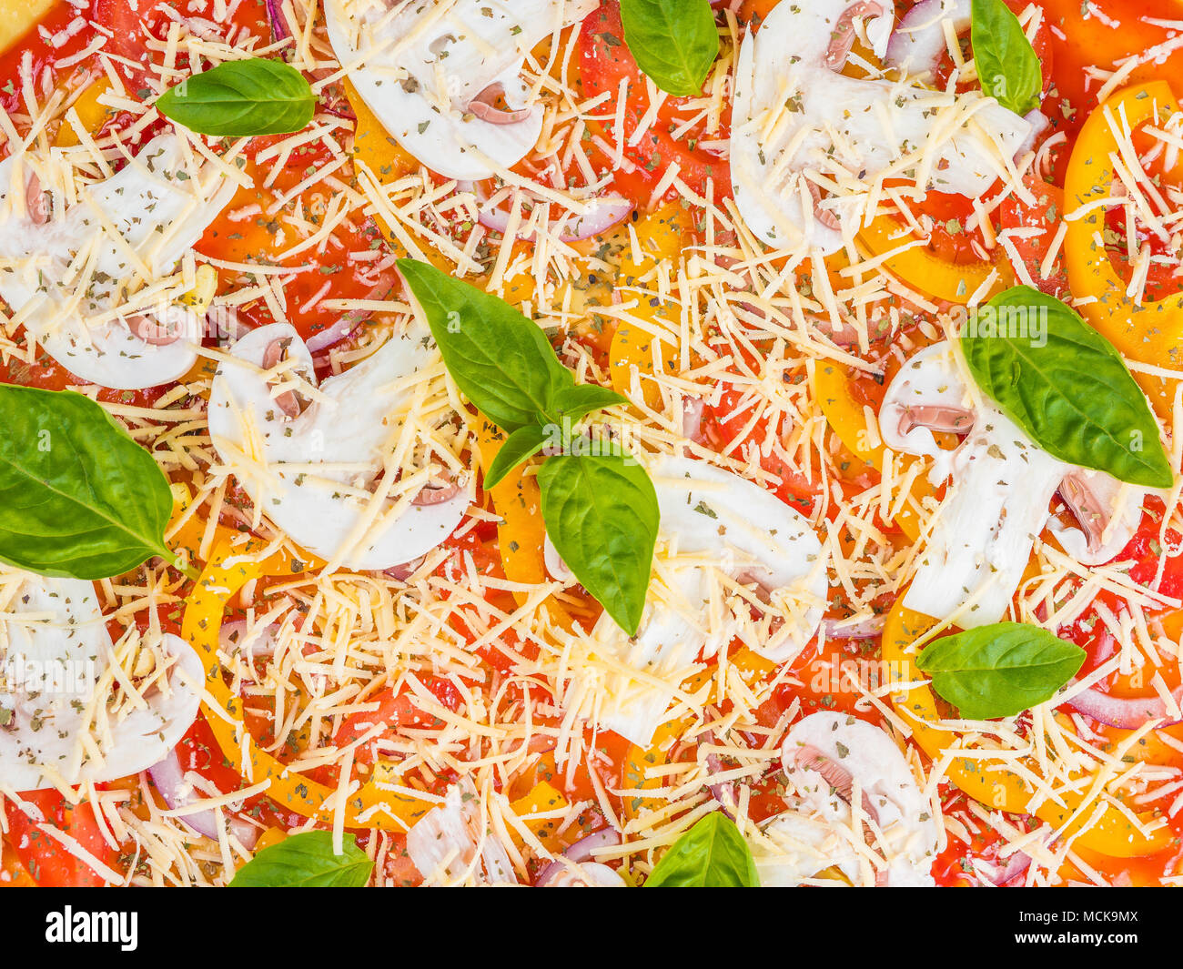 Italian pizza with melted mozzarella and tomato garnish with fresh basil on a thick crust. Food