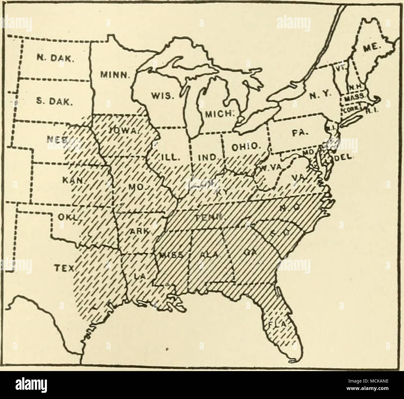 . FiG. 154. — Map showing the distribution of Physo- derma zeae-maydis in the United States. Broken lines, P. zeae-maydis present: solid line, P. zese-maydis caus- ing damage. After Tisdale. cence of many spots may lead to discoloration of large areas and a rusted appearance. These diseased areas are often in bands across the leaf. Leaves are often killed. The dry epidermis eventually ruptures over diseased spots and the dusty, brown spores are freed. Diseased stems break easily, resulting in considerable lodging of the corn. General san- itary measures are recommended, chiefly destruction of  Stock Photo