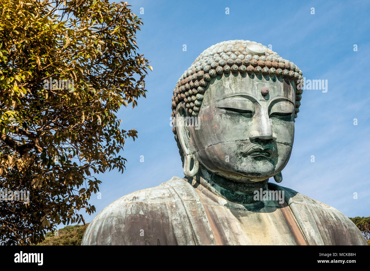 Daibutsu the bronze statue of Big Buddha in Kamakura, Japan Stock