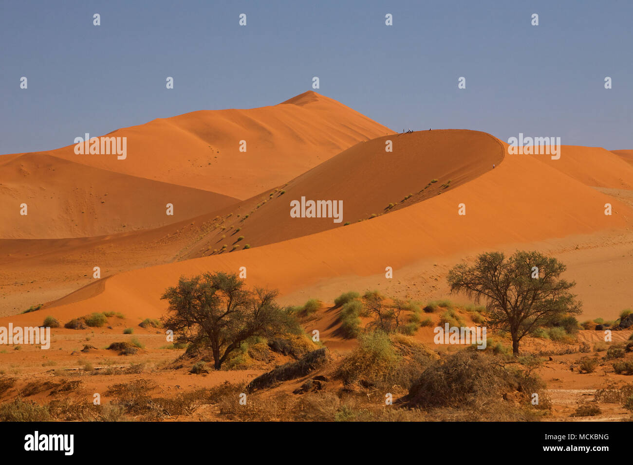 Sand Dunes of Namibia Stock Photo