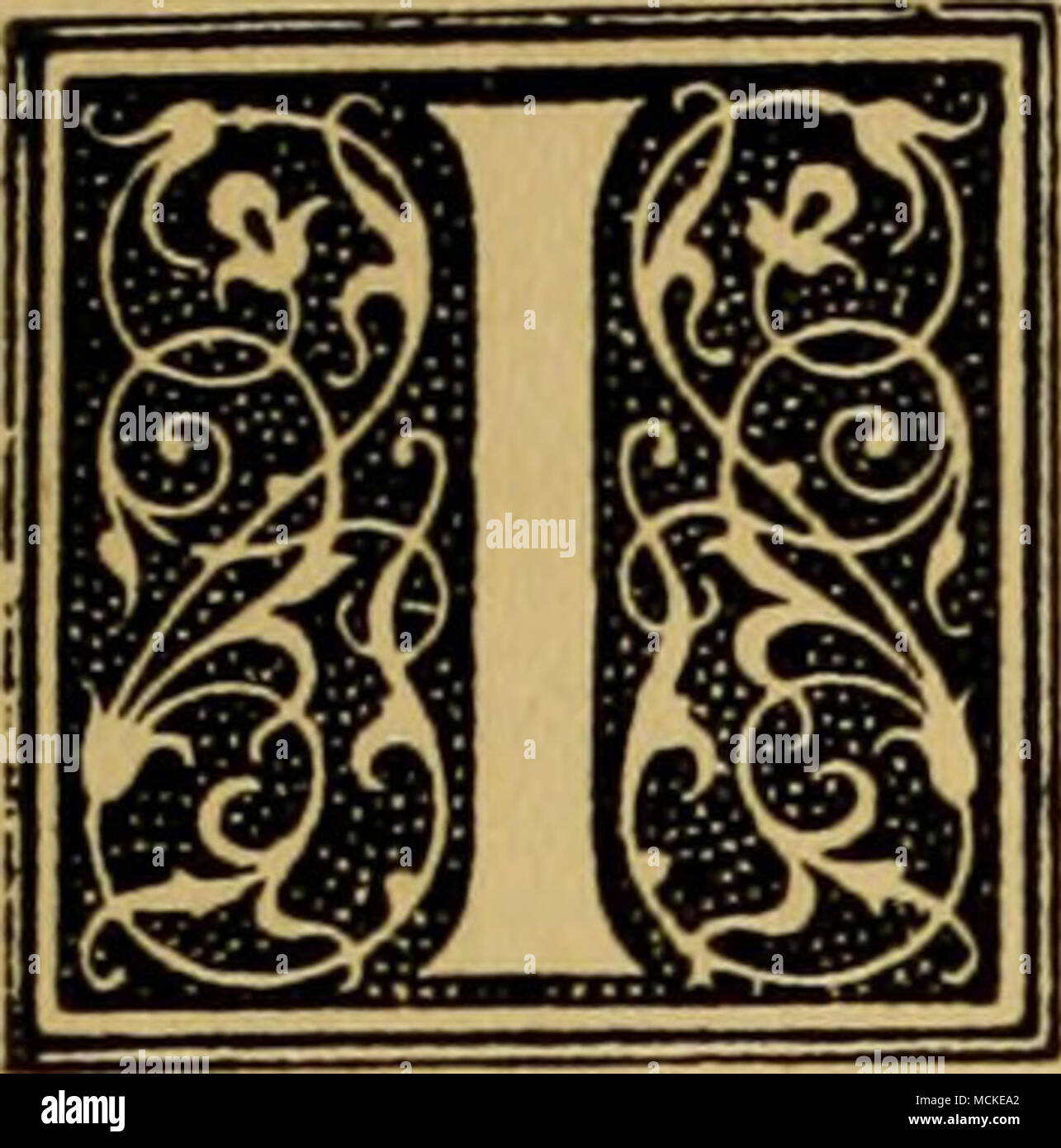 Do Dogs Have A Color Preference