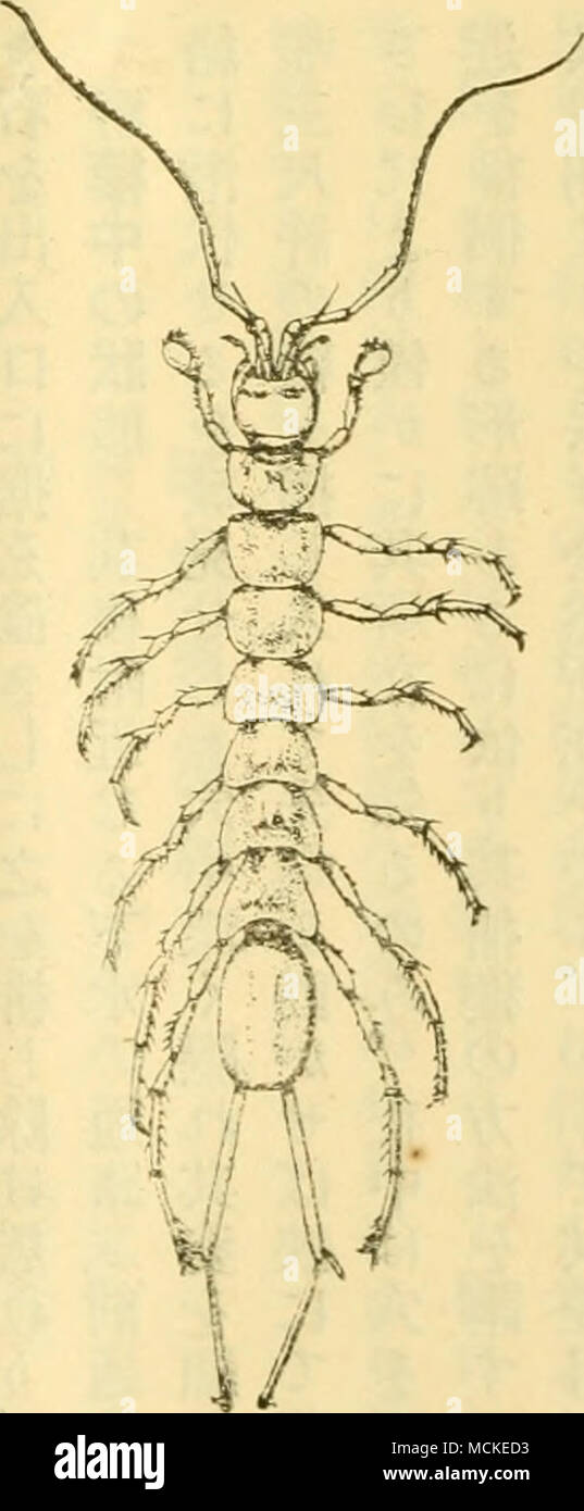 Page 2 P 417 High Resolution Stock Photography And Images Alamy