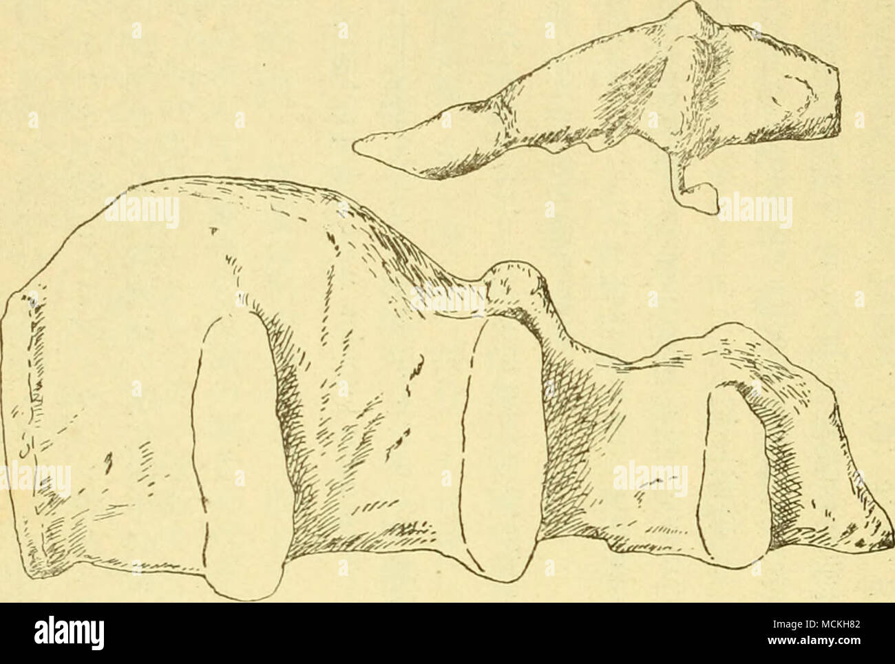Avj High Resolution Stock Photography And Images Alamy