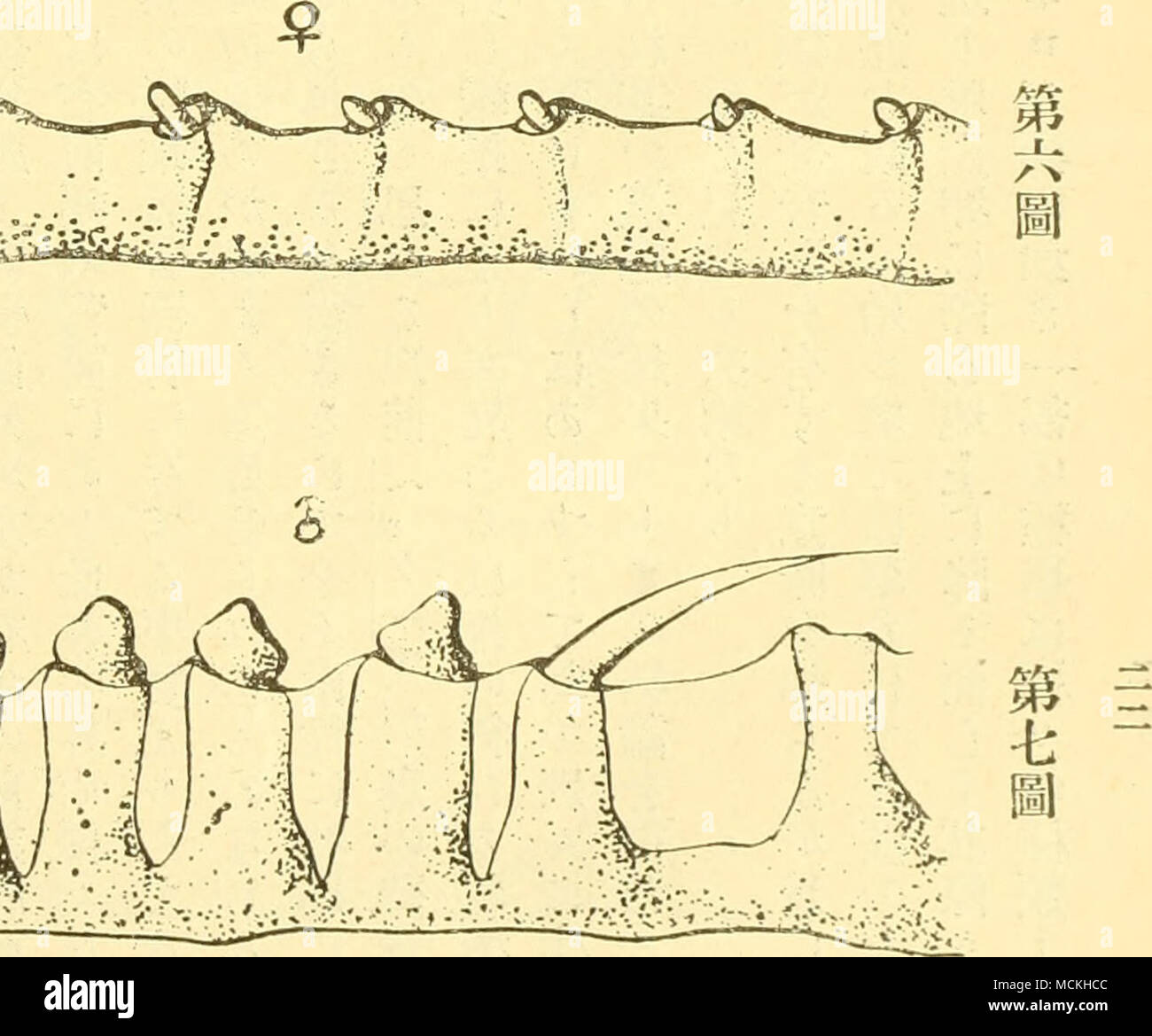 Eaa A Ae Ae Ae Gt Aaavaaaac A Ac E Aa Aaae A Aa Aaaaaa E A A Ae E Ae A Aa A Aaaaae Cae A C A A C C Ae E Aaae A Ea Ae A A A E A Aa Aa A A Aaªae Aa E Aµae A Aea E Ae Aae Aaªacµ Stock Photo Alamy