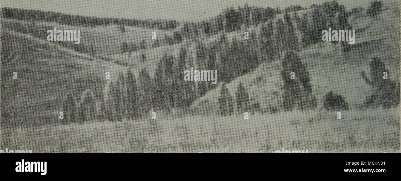 A13ae E Ae A A Ae A C E E A A A Ae ºae Aeci Quot C Ae Ae A ea Aea A Cc Aec e Eºc Ae Ae A Eµeacµ E I Aei Asg C A Aºe A H N C E Ae Aea A Aei Stock Photo Alamy