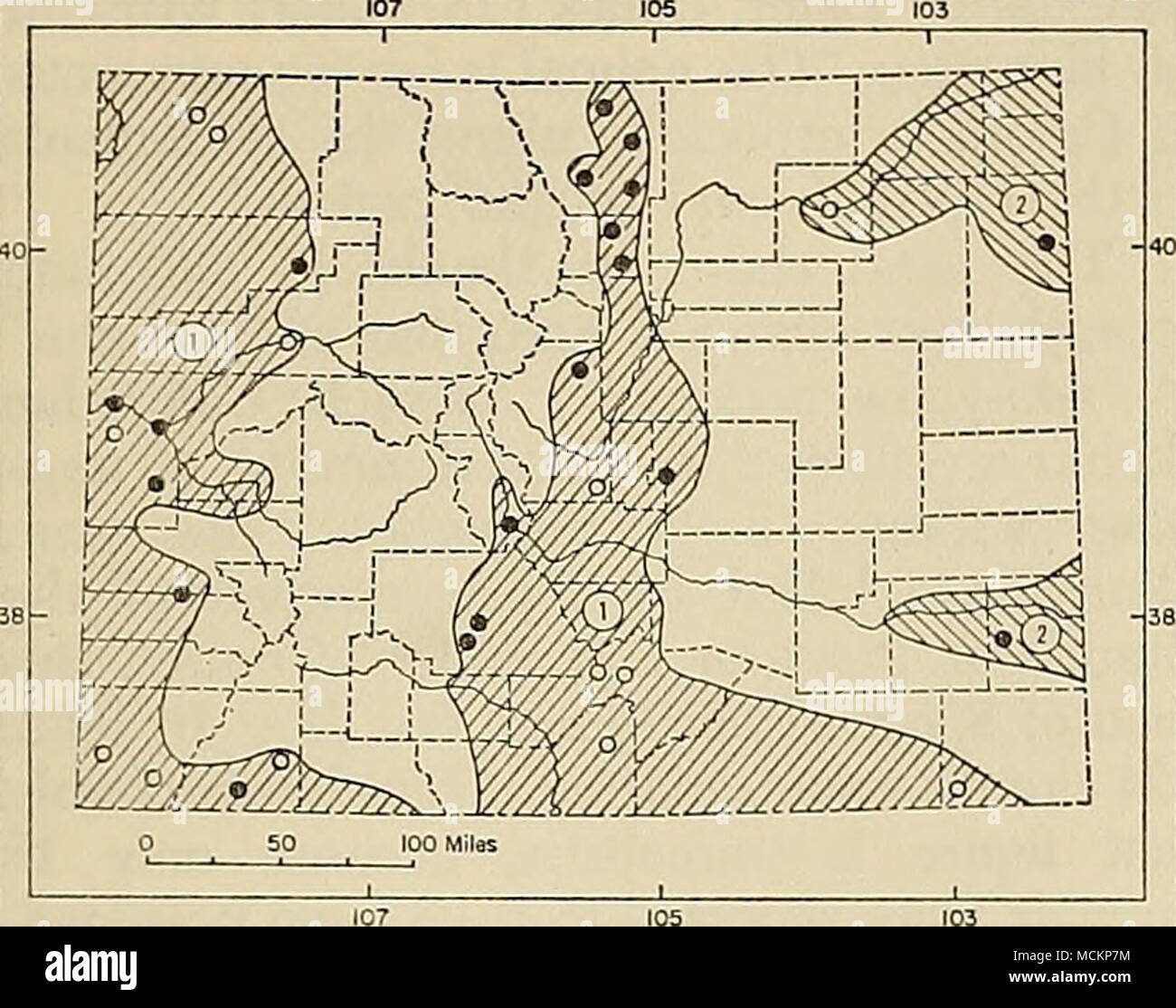 . Fig. 105. Distribution of Spilogale putorius in Colorado. 1. S. p. gracilis. 2. S. p. interrupta. For explanation of symbols, see p. 9. 50.2; zygomatic breadth, 35.60 (34.9-38.6), 33.0, 30.5; interorbital constriction, 14.56 (14.1-15.1), 13.9, 13.5; postorbital constric- tion, 13.20 (12.8-13.9), —, 13.4; mastoid breadth, 31.55 (29.1-33.3), 28.3, 27.2; length of maxillary toothrow, 17.43 (16.1-18.8), 16.1, 16.3. Remarks.—It is not known whether the ranges of S. p. gracilis and S. p. interrupta meet in Colorado, and the intergradation be- tween the two subspecies has not been dem- onstrated in Stock Photo