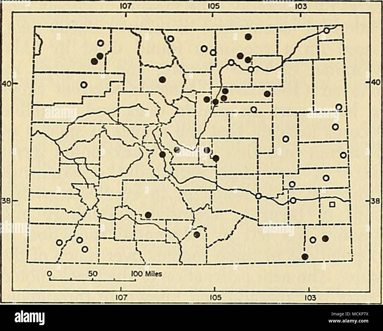 . Fig. 101. Distribution of Mustela nigripes in Colorado. For explanation of symbols, see p. 9. Measurements.—External measurements of males from Adams and Teller counties and of females from El Paso and Baca counties are, respectively: 496, 492, 457, 458; 113, 100, 100, 90; 59, 63, 58, 57. Cranial measurements of a male and two females from Moffat County, females from Larimer and Park counties, and the above-mentioned four individuals include: condylobasal length, 65.9, 62.9, 65.1, 67.1, 66.7, 65.0, 65.5, 60.1, 63.0; zygomatic breadth, 41.5, 37.7, 38.7, 39.8, 40.0, 41.8, —, 36.3, 37.7; inter- Stock Photo