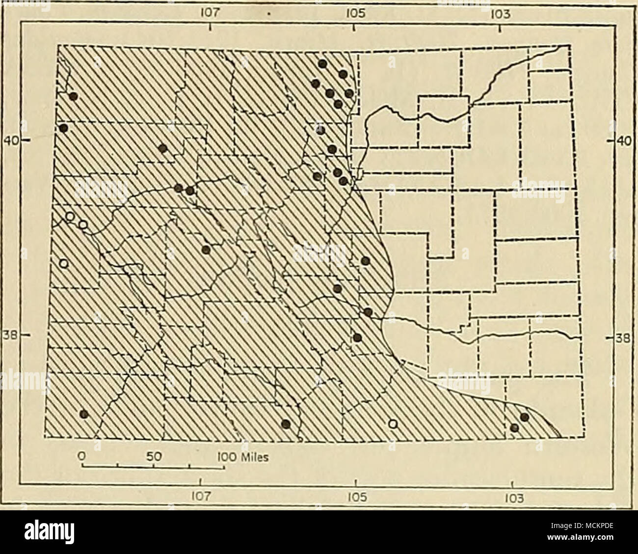 . Fig. 29. Distribution of Plecotus townsendii pal- lescens in Colorado. For explanation of symbols, see p. 9. Records of occurrence.—Specimens examined, 92, distributed as follows: MOFFAT COUNTY: Castle Park, Dinosaur National Monument, 1 (CU). LARI- MER COUNTY: Cherokee Park, 1 (CU); 5 mi. NW Livermore, 6700 ft., 1 (CSU); 34 mi. NW Fort Col- lins, 1 (CSU); 22 mi. NW Fort Collins, 1 (CSU); limestone cave, Owl Canyon, 2 (CSU); 1/4 mi. N Owl Canyon Store, 1 (CSU); 20 mi. NW Fort Col- lins, 1 (CSU); 9 mi. N, 5 mi. W Fort Collins, 5300 ft., 1 (CSU); sec. 20, T. 9 N, R. 73 W, 1 (CSU); Rustic, 8000 Stock Photo