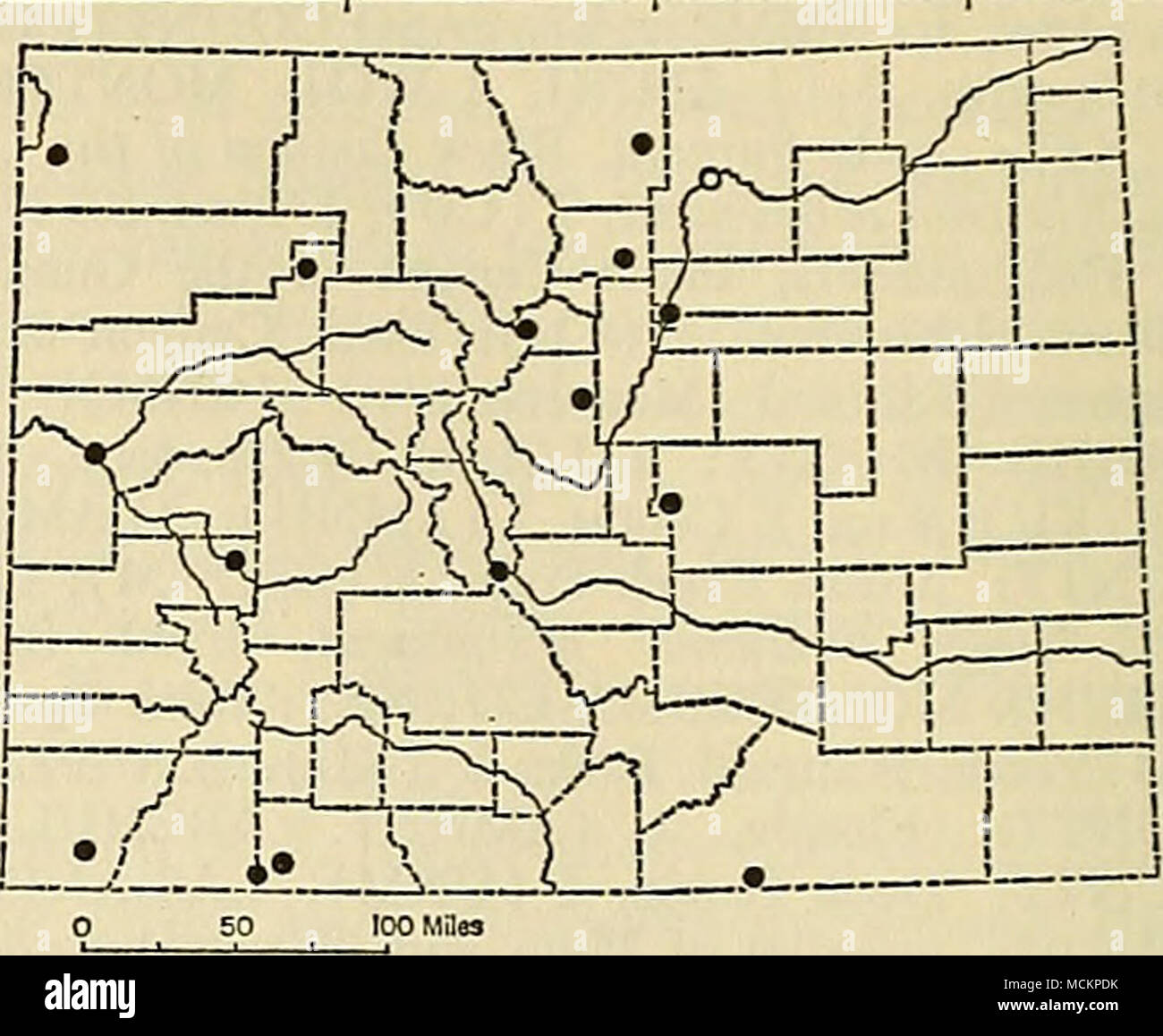 . Fig. 28. Distribution of Lasiurus cinereus cinereus in Colorado. For explanation of symbols, see p. 9. Measurements. — Mean (and extreme) measurements of 28 males from 2 1/2 mi. S of Estabrook, Park County, are: 133.1 (123- 142), 53.4 (51-60), 11.1 (9-12), 16.5 (13-18), 52.33 (50.0-55.6); weight, 27.41 (24.3-32.1). A. M. Railey (1937) reported a lactating fe- male taken on 25 June 1936 that weighed 20.8; her two suckling male offspring weighed 13.87 and 14.12. For cranial measurements, see table 4. Records of occurrence.—Specimens examined, 66, distributed as follows: MOFFAT COUNTY: Castle P Stock Photo