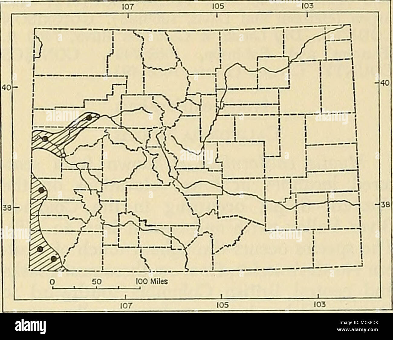 . Fig. 22. Distribution of Myotis califomicus ste- phensi in Colorado. For explanation of symbols, see p. 9. from Bedrock, Montrose County, are: 75, 33, 6, —, 32.0. For cranial measurements, see table 3. Remarks. — Stephens (1900) selected as the holotype of Myotis californicus pallidus a specimen (male, original number 2498, F. Stephens) from Vallecito, California (now USNM 99829). The holotype has had a rather involved history, reviewed by Poole and Schantz (1942:151). Dalquest (1946) noted that the name pallidus was preoccupied in Myotis and proposed the epithet stephensi as a replacement n Stock Photo